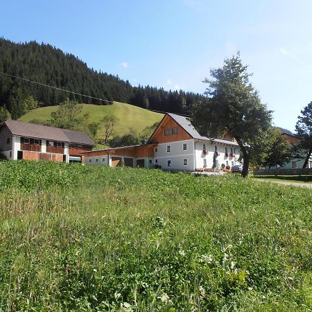 Вилла Huberbauer Johnsbach Экстерьер фото