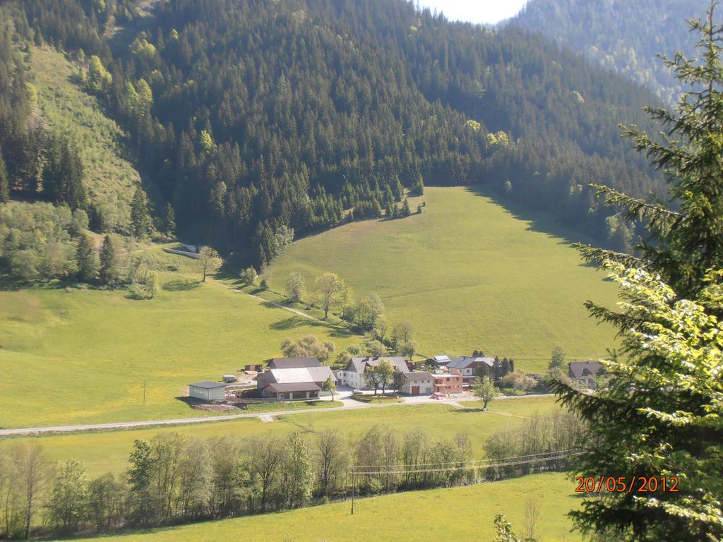 Вилла Huberbauer Johnsbach Номер фото