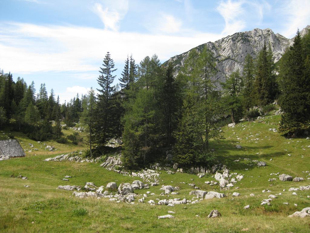 Вилла Huberbauer Johnsbach Экстерьер фото