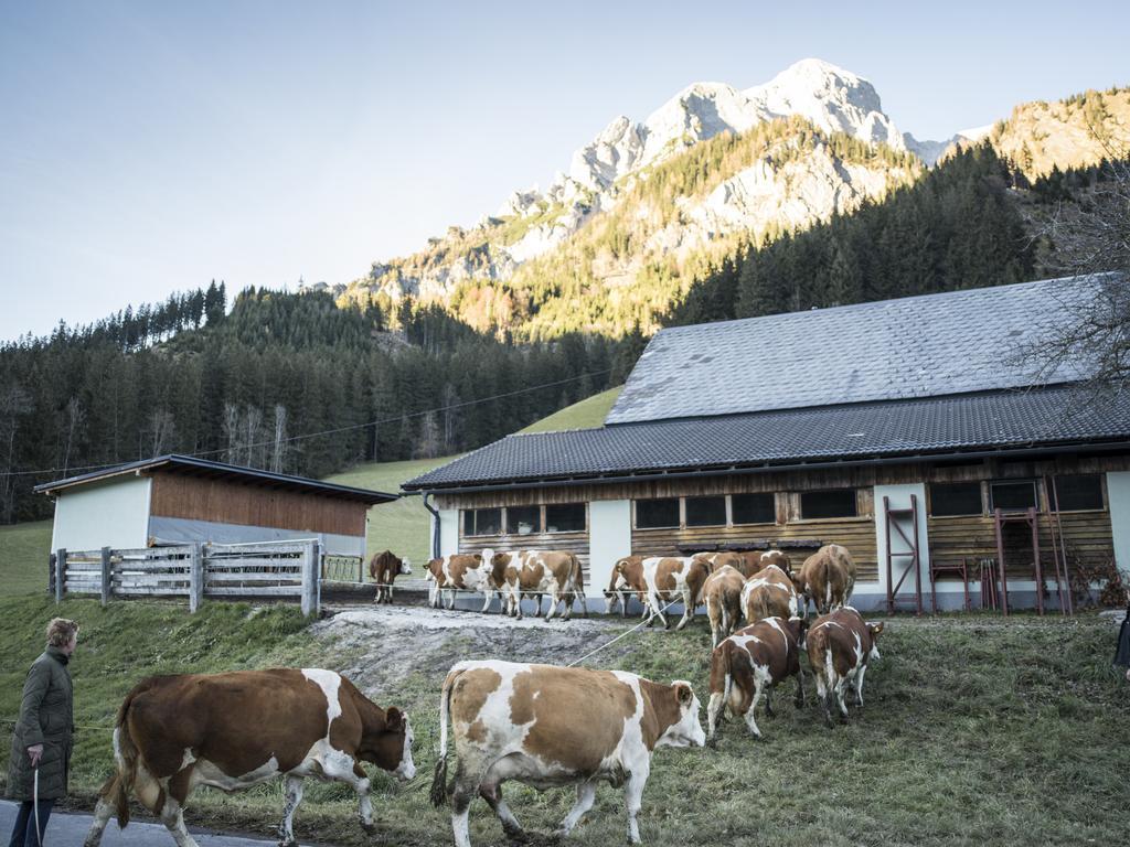 Вилла Huberbauer Johnsbach Экстерьер фото