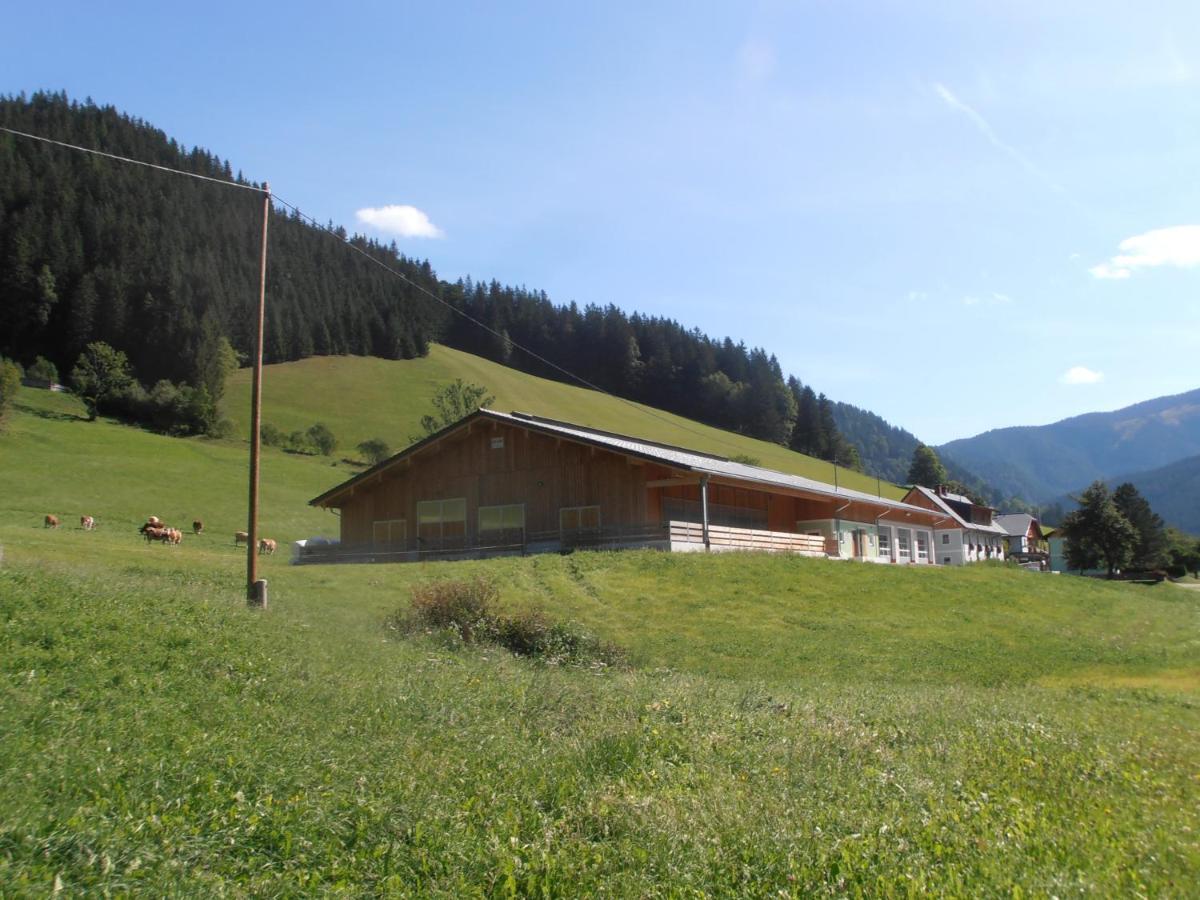 Вилла Huberbauer Johnsbach Экстерьер фото